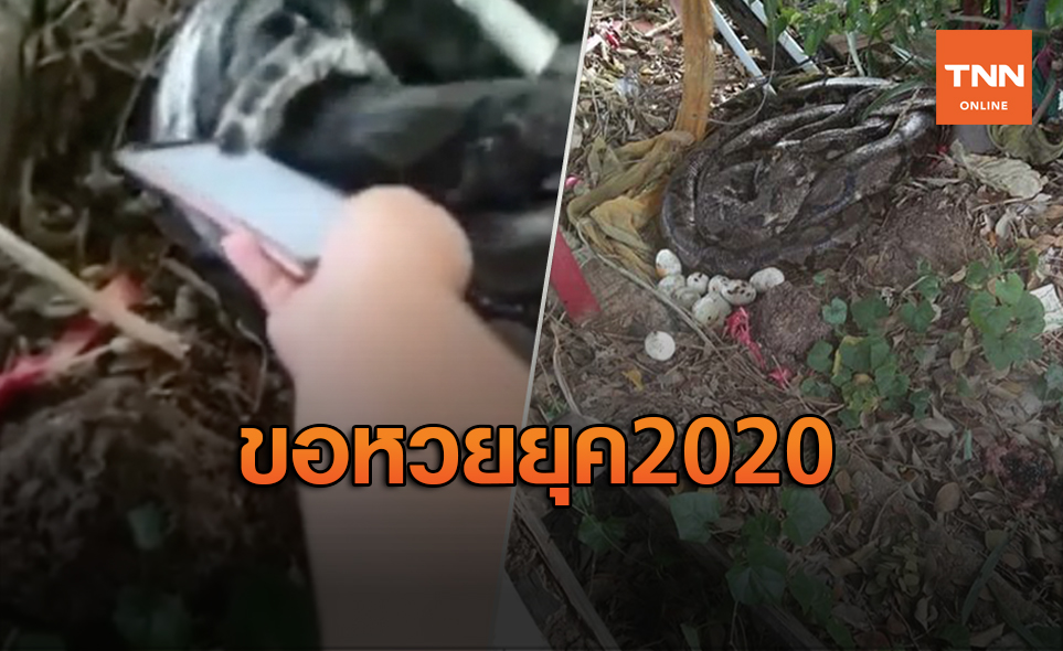 มิติใหม่คอหวย! เปิดแอปฯเครื่องคิดเลขให้งูเจ้าที่กด หวังได้เลขเด็ด
