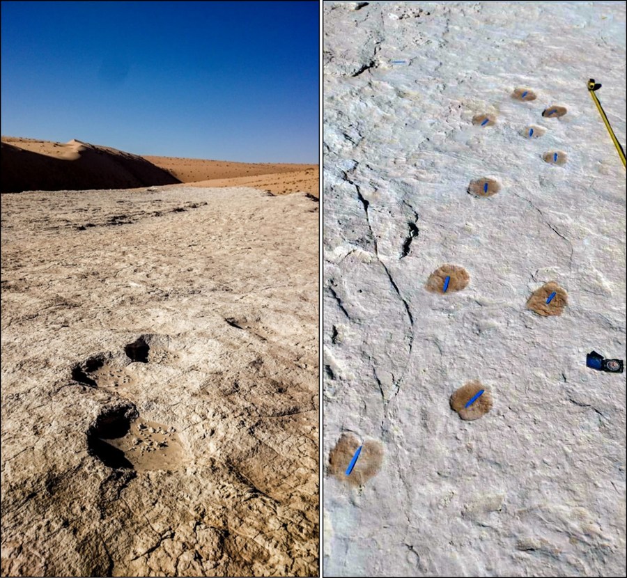 พบรอยเท้ามนุษย์และฝูงอูฐ-ช้างดึกดําบรรพ์อายุกว่า 120,000 ปีในซาอุดีอาระเบีย