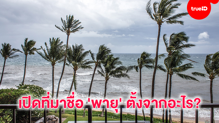 เปิดที่มาชื่อ 'พายุ' ตั้งจากอะไร?
