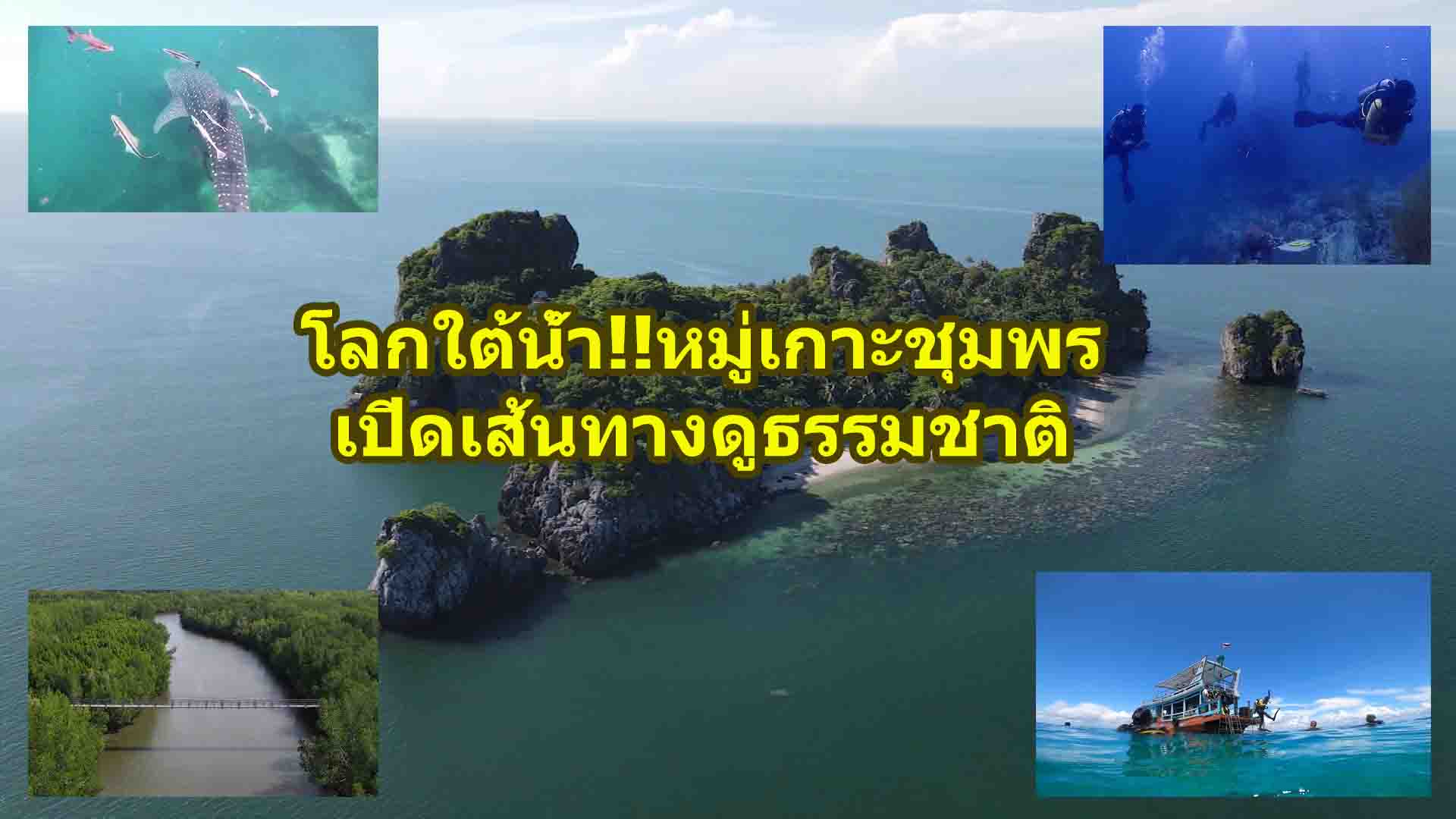 โลกใต้น้ำ!!หมู่เกาะชุมพร เปิดเส้นทางใต้น้ำไม่รบกวนธรรมชาติ