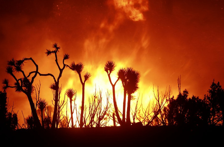 ไฟป่ากระหน่ำแคลิฟอร์เนีย เผาผลาญพื้นที่แล้วกว่า 9 ล้านไร่