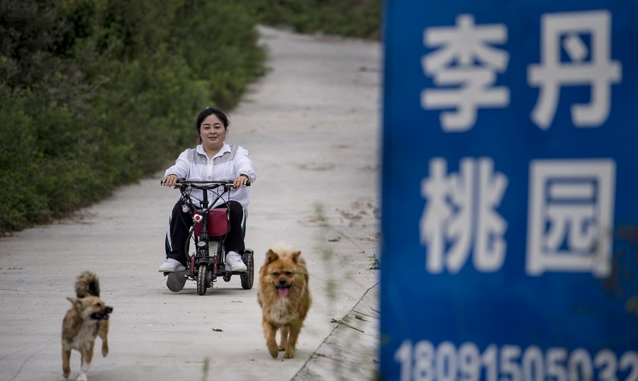 จีนช่วย 'หญิงพิการ' หลุดพ้นความจนกว่า 2.5 ล้านคน