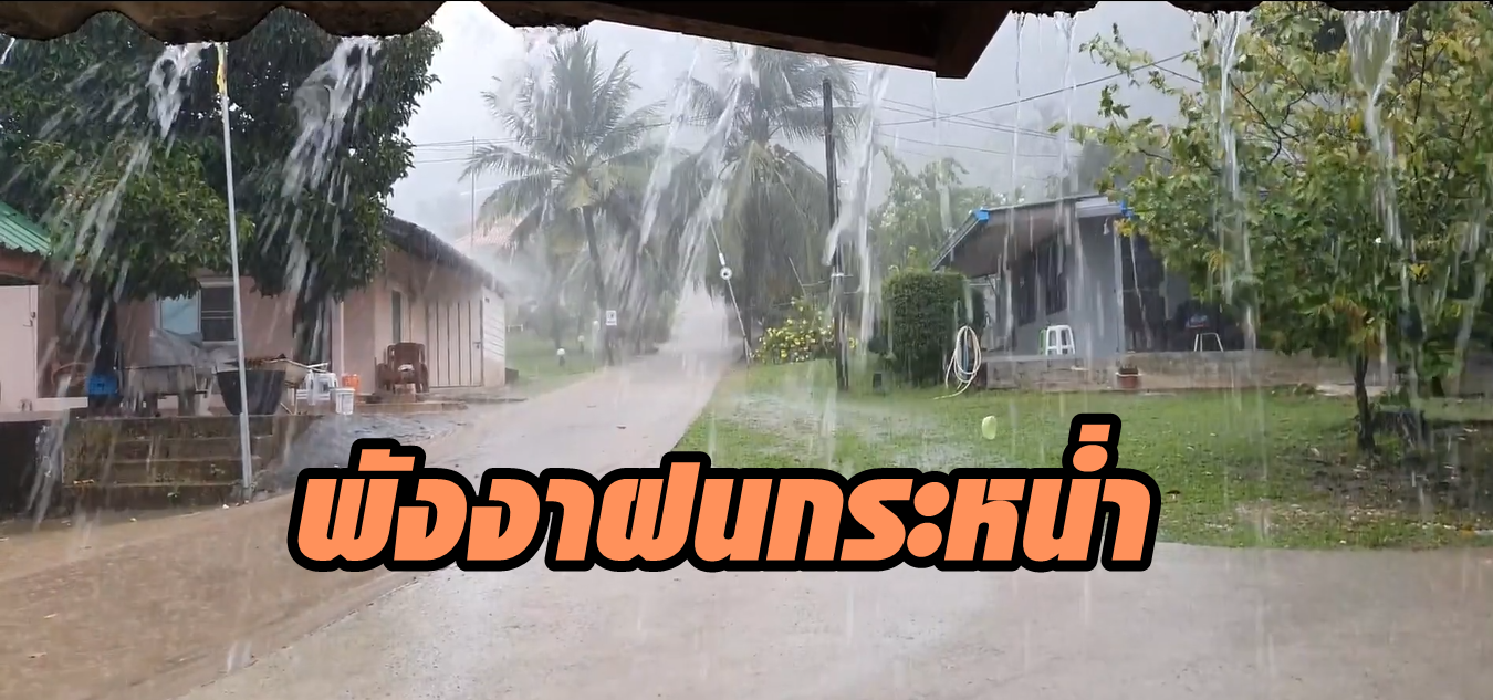 พังงาฝนกระหน่ำ คลื่นลมในทะเลสูง 2-3 เมตร กรมอุตุฯเตือนระวังน้ำป่าไหลหลากและดินโคลนถล่ม