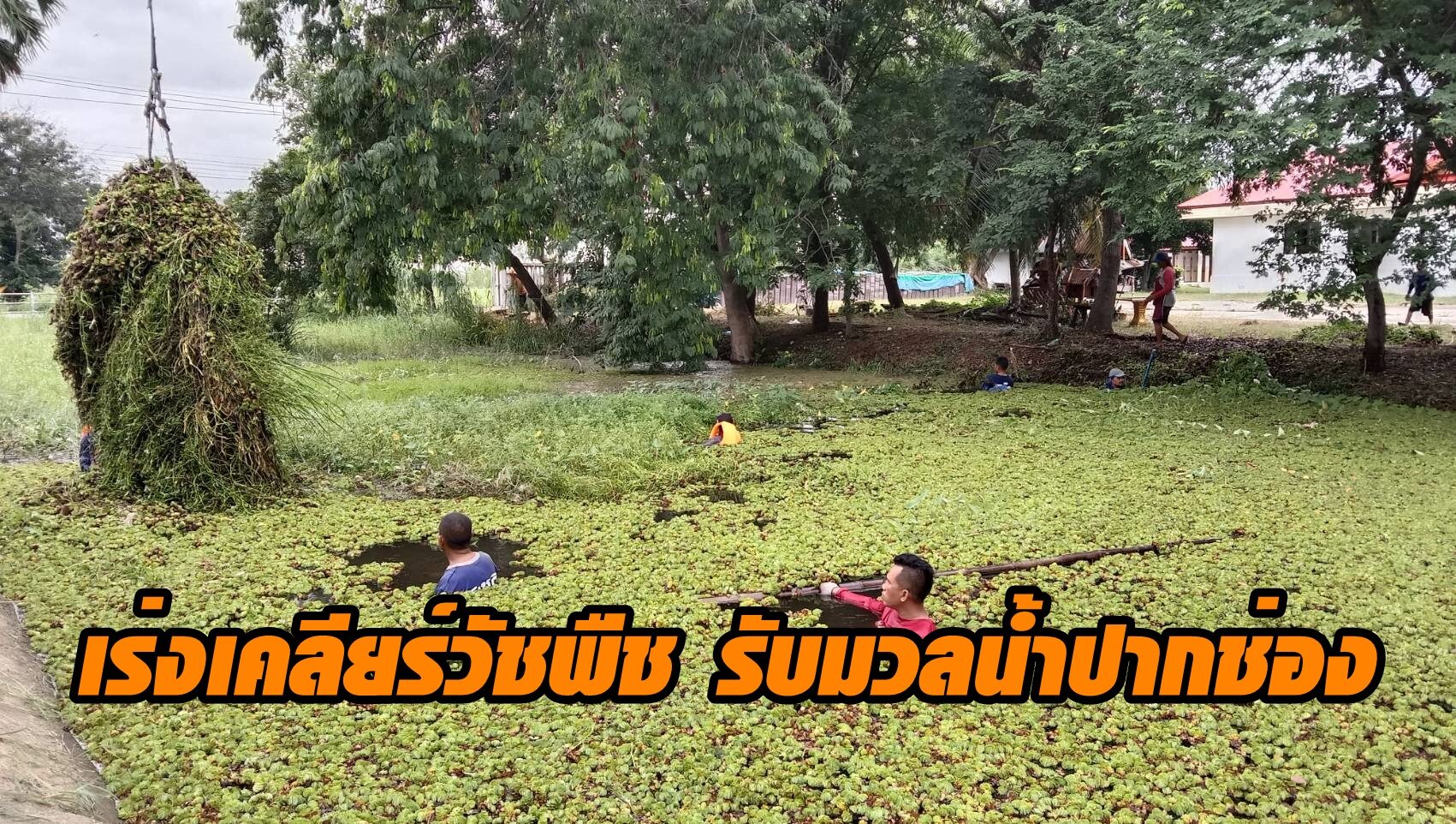 อำเภอโนนสูงเร่งเปิดทางน้ำไหล กำจัดวัชพืช เตรียมรับมวลน้ำจากปากช่อง