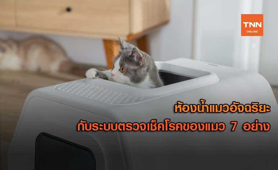 ห้องน้ำแมวอัจฉริยะ กับระบบตรวจเช็คความผิดปกติของแมว 7 อย่าง