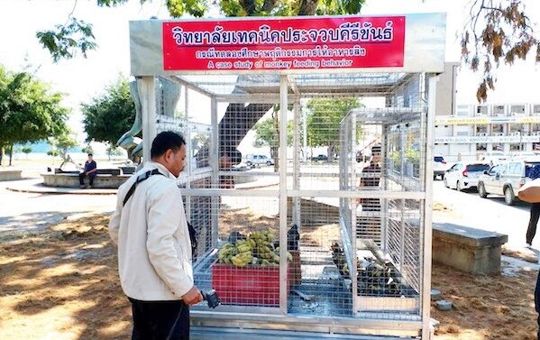 องค์กรพิทักษ์สัตว์สากลทักท้วงเครื่องให้อาหารลิงอัตโนมัติต้นแบบที่เขาช่องกระจก