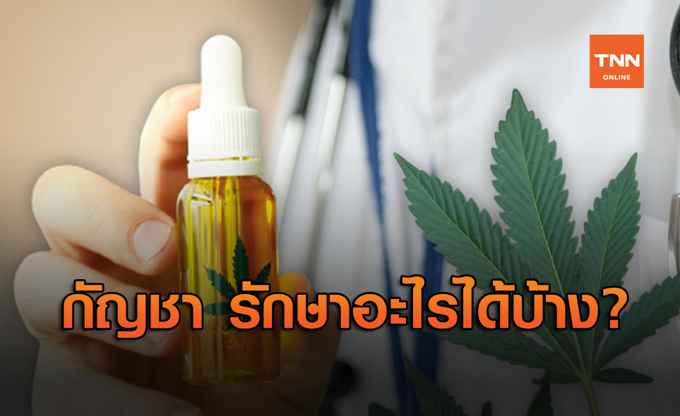 เปิด 14 ข้อ ประโยชน์ "กัญชา" สรรพคุณล้น รักษาโรคอะไรได้บ้าง?