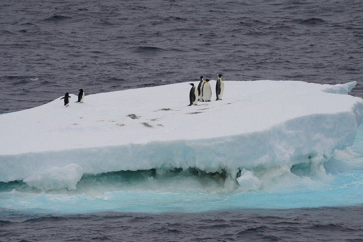 รายงานจีนชี้ ‘พืดน้ำแข็งแอนตาร์กติก’ ละลายกว่า 2.6 ล้านตรกม.