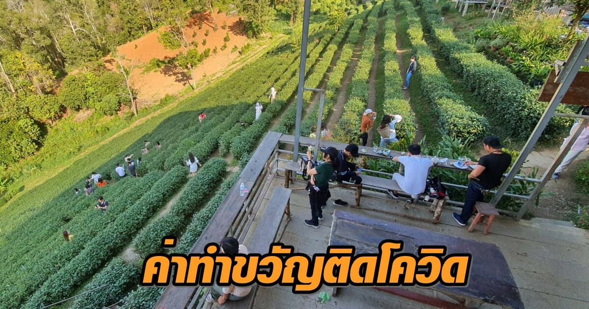 ให้ 1 แสน! เอกชนลงขันจ่าย นทท. หากติดโควิดที่เชียงใหม่ช่วงธ.ค. - ถ้าเสียชีวิตมอบ 1 ล้าน