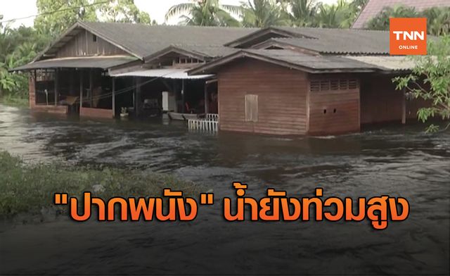 "ปากพนัง" ยังอ่วม มวลน้ำทะลักเข้าท่วมสูง "ปากพนัง" ยังอ่วม มวลน้ำทะลักเข้าท่วมสูง