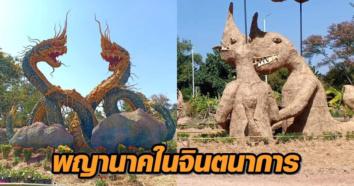ดุดันก็มี-น่ารักก็มา! เที่ยวชมหุ่นฟางพญานาคยักษ์หลากสไตล์ แลนด์มาร์คใหม่ อ.นาดูน (คลิป)