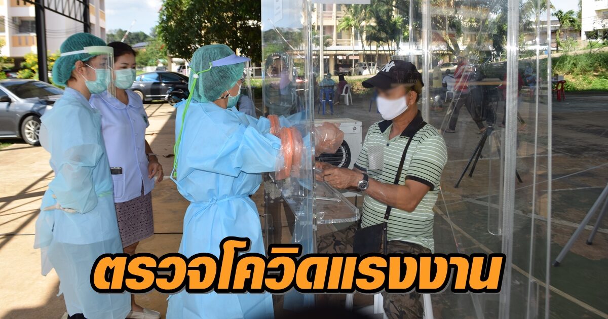 ตรวจหาโควิด-19 แรงงานต่างด้าว 33 คนในกระบี่ หลังกลับจากพื้นที่เสี่ยง พร้อมกักตัว 14 วัน
