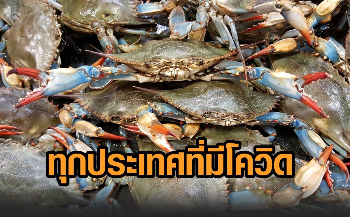 ด่วน! ลาวแก้ไขคำประกาศ ห้ามนำเข้าอาหารทะเลสดไทย เป็น 'ห้ามทุกประเทศ' เจอโควิด