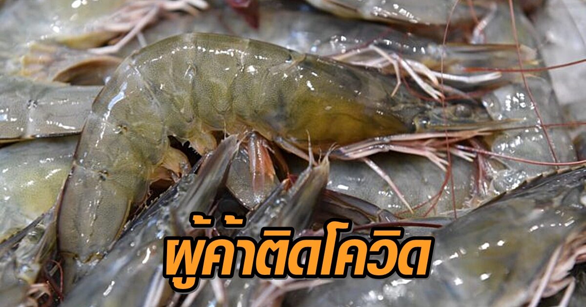 ตลาดอ่อนนุช แถลงพบผู้ค้าแผงอาหารทะเลติดโควิด 2 ราย แจ้งลูกค้าส่งข้อมูลตรวจหาเชื้อ