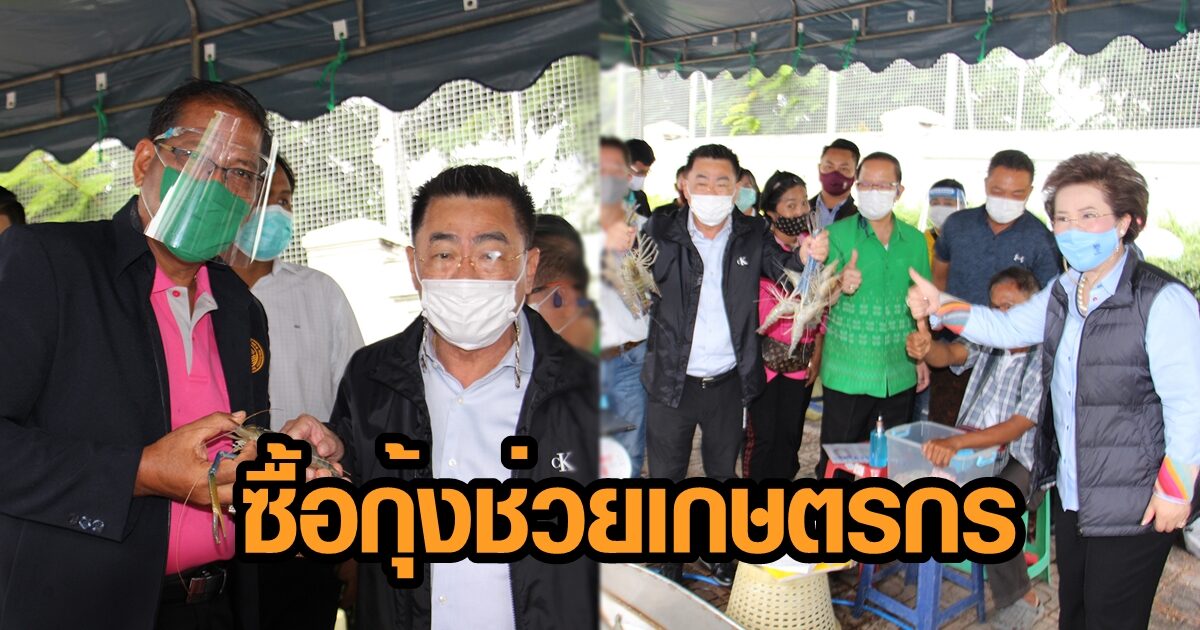 กินได้ปลอดภัย! 'บุญยิ่ง-นิวัฒน์' ช้อปกุ้งราคาถูก ช่วยเกษตกร ผู้ได้รับผลกระทบโควิด