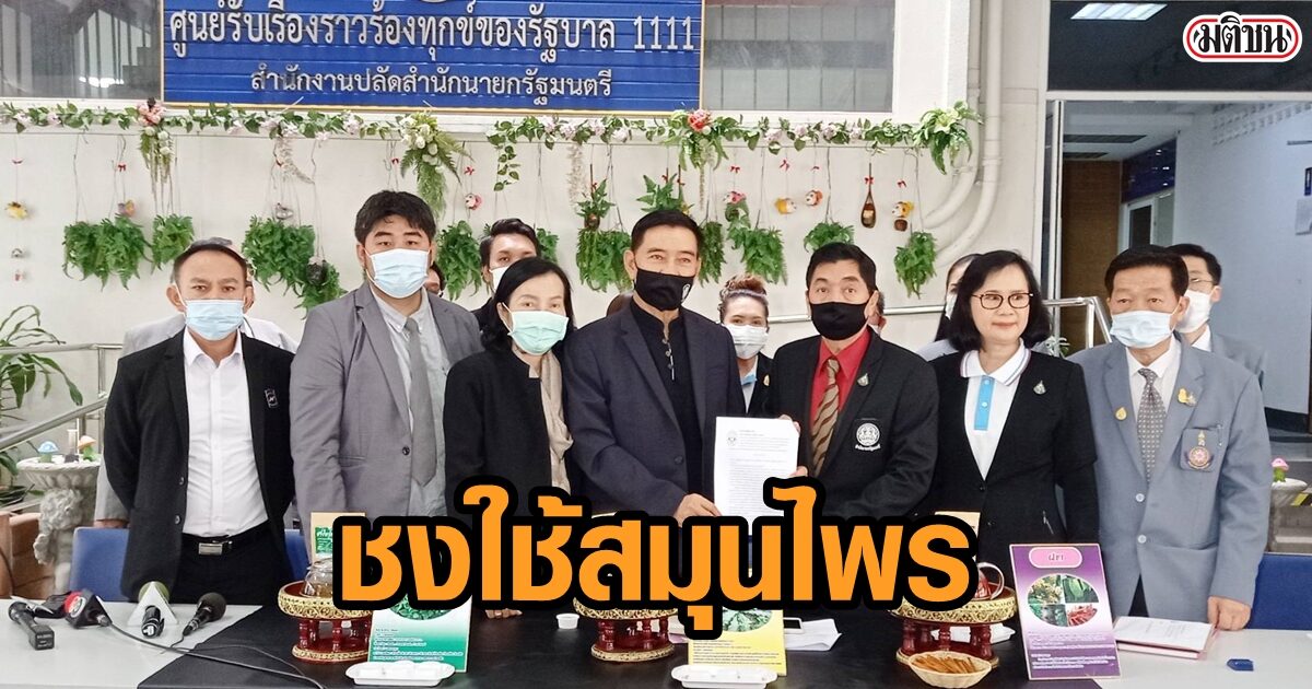สภาแพทย์แผนไทย ห่วงบิ๊กตู่ จัดการวิกฤต ชงใช้สมุนไพร รักษาโควิด ระหว่างรอวัคซีน