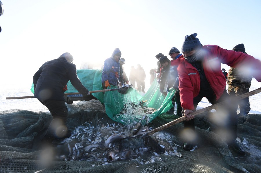 ฝ่าจุดเยือกแข็ง! ซินเจียงเริ่มเทศกาล 'จับปลาใต้น้ำแข็ง' ในทะเลสาบขาวโพลน