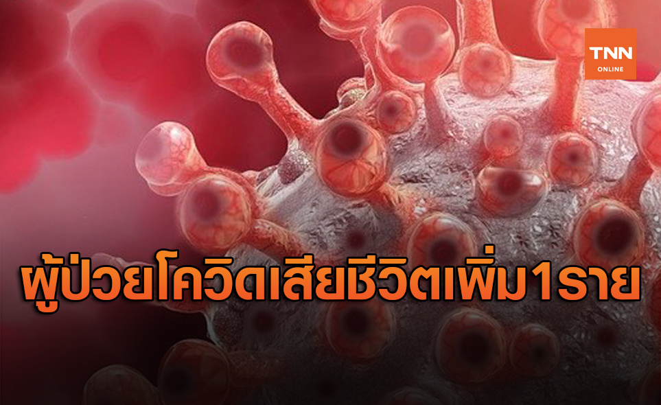 ผู้ป่วยโควิดเสียชีวิตเพิ่ม 1 ราย เป็นชาวกทม. มีโรคประจำตัว-ไปพื้นที่เสี่ยง