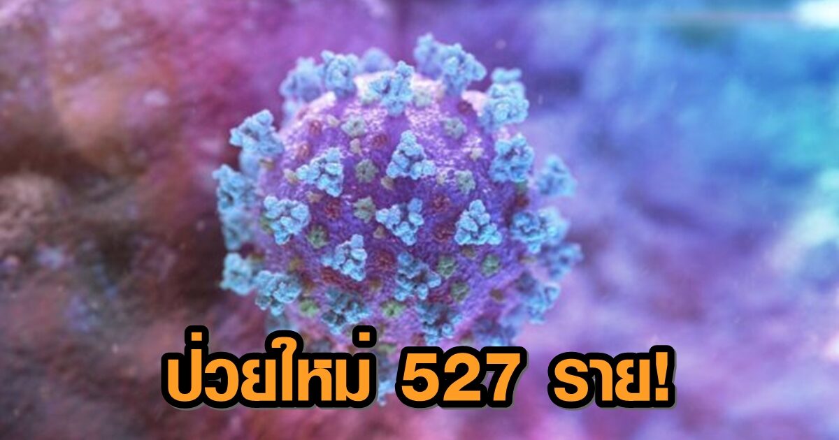 พุ่งไม่หยุด! โควิดไทย พบป่วยใหม่ 527 ราย เป็นต่างด้าว 439 ราย คนไทย 82 ราย ไม่มีเสียชีวิตเพิ่ม