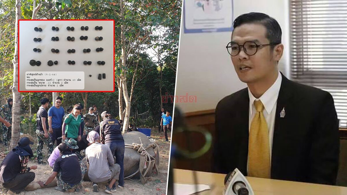 สมาคมฯ แจ้งจับคนบาป สังหาร 'พลายขนุน' ลูกซองยิง พรุนทั่วร่าง 40 เม็ด