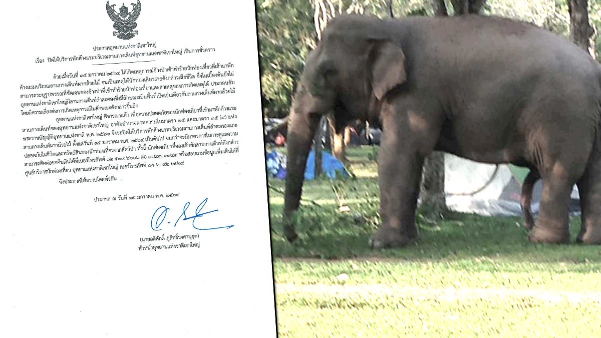 อุทยานแห่งชาติเขาใหญ่ ปิดลานกางเต็นท์ หลังช้างป่าเหยียบนักท่องเที่ยวดับ