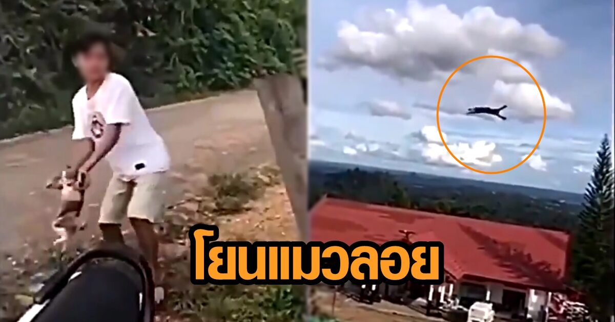 วัยรุ่นจับ 'เจ้าแมวน้อย' โยนสุดแรง ลอยเคว้งในอากาศ ทำคลิปจนไวรัล ไม่รอด ถูกตร.รวบ