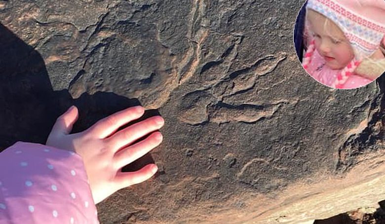 คุณพ่อดูสิคะ! เด็กหญิง4ขวบพบรอยเท้าไดโนเสาร์ 220 ล้านปี