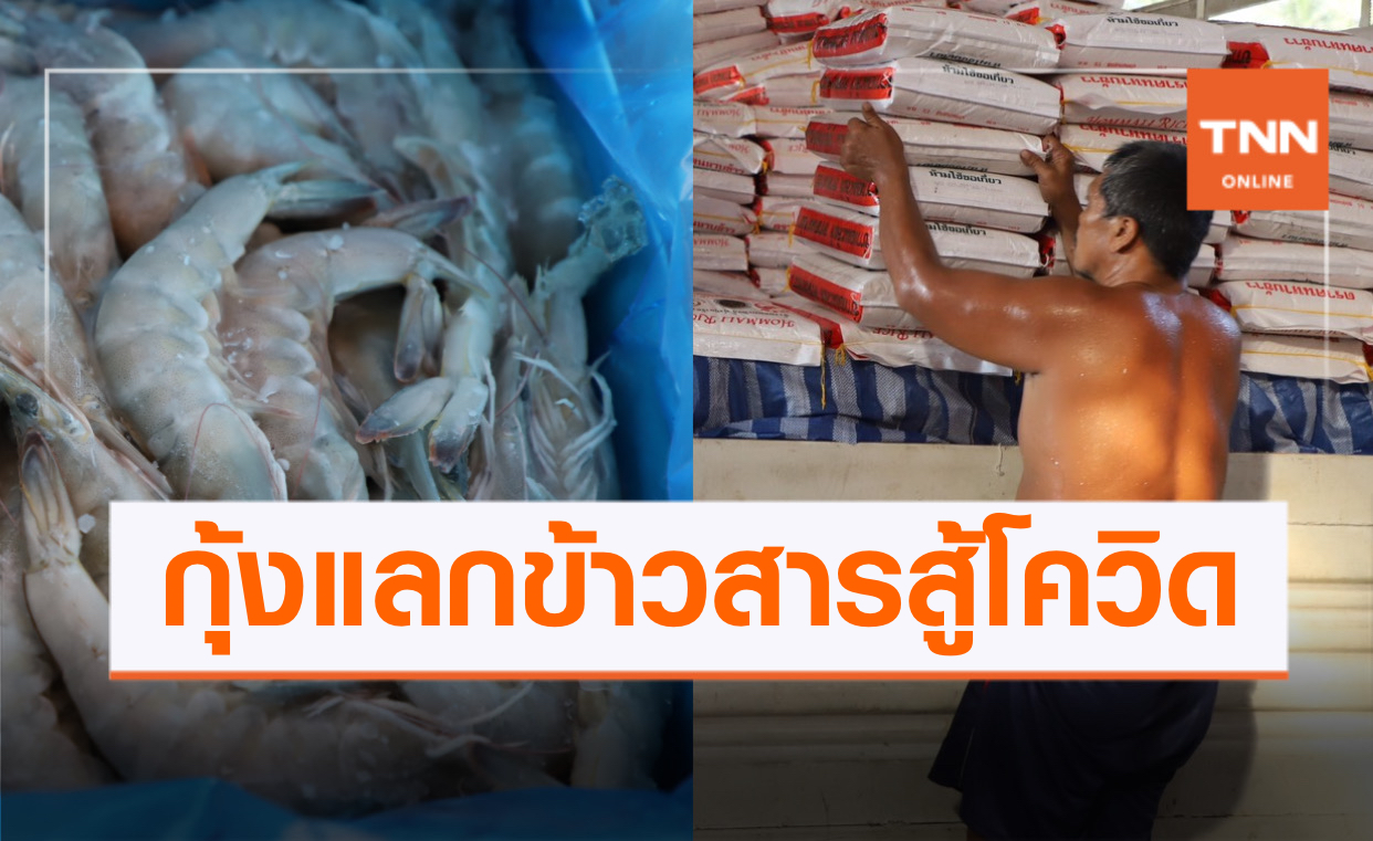 ช่วยวิกฤตโควิด! กุ้งสุราษฎร์ธานี แลก ข้าวสารร้อยเอ็ด