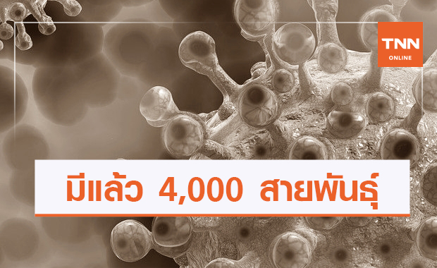 อังกฤษ เผยมีเชื้อโควิดกลายพันธุ์ราว 4 พันสายพันธุ์แล้ว