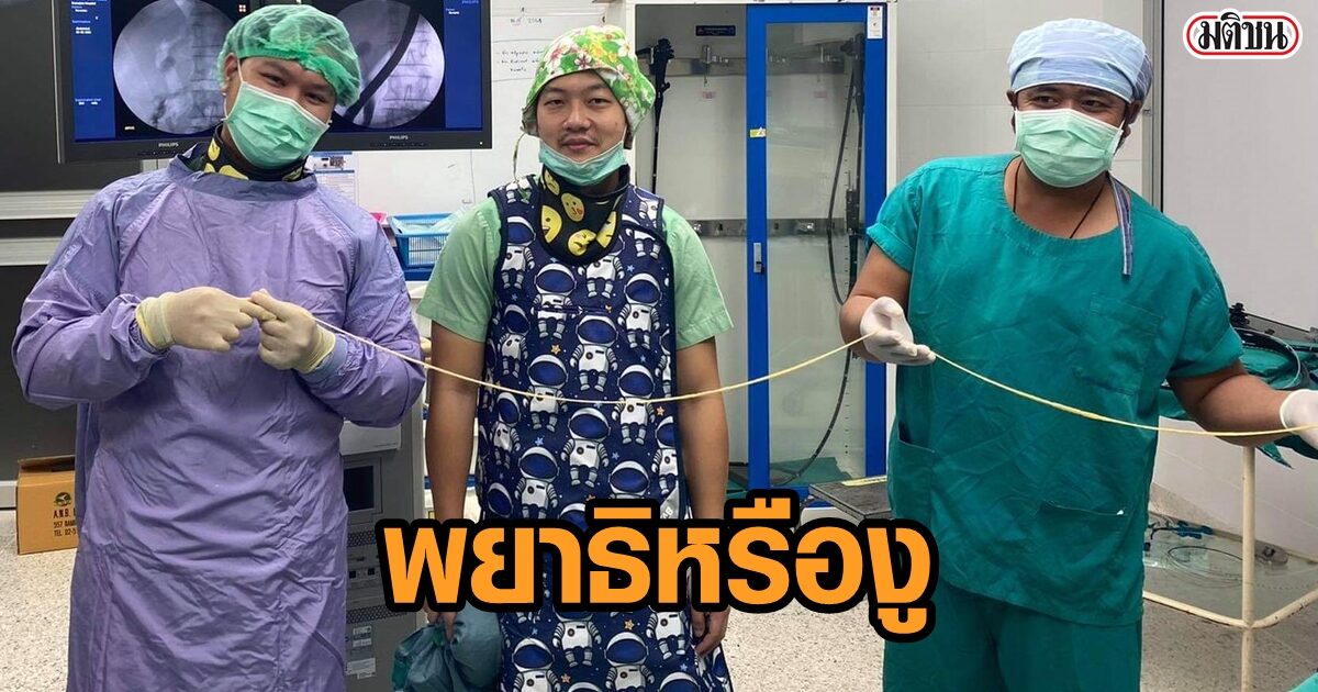 หมอตะลึง ผ่านิ่วคนไข้ ดันเจอพยาธิตัวตืดยาวกว่า 2เมตร ดึงเท่าไหร่ก็ไม่หมดตัว