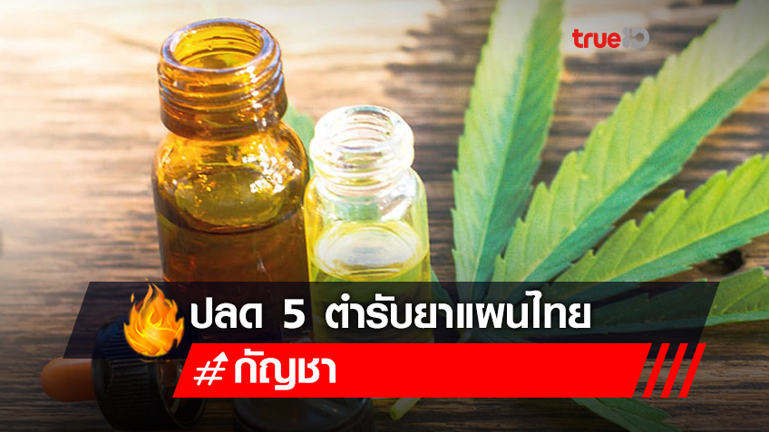 ปลด 5 ตำรับยากัญชาแผนไทยจากบัญชีตำรับยาเสพติด
