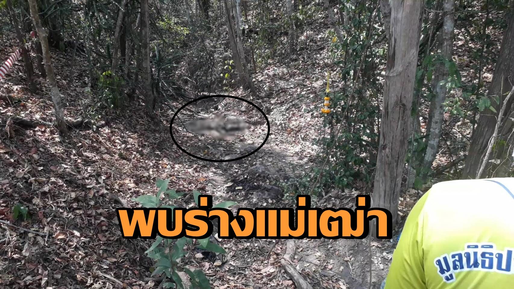 พบแล้ว! ร่างโครงกระดูกแม่เฒ่าวัย 68 หายตัวในป่านาน 21 วัน คาดตกเขาเสียชีวิต
