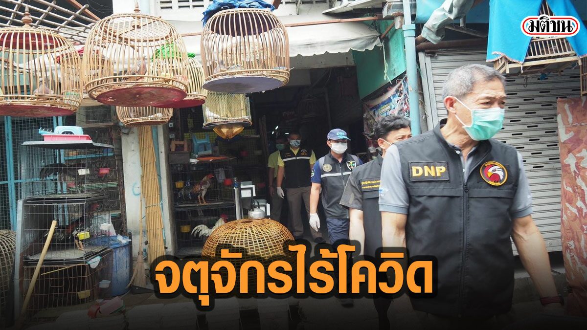 กรมอุทยานฯ โต้สื่อนอก ยันไม่พบโควิดสัตว์ตลาดนัดจตุจักร ส่วนค้างคาวเกือกม้าก็ไม่ก่อโรค