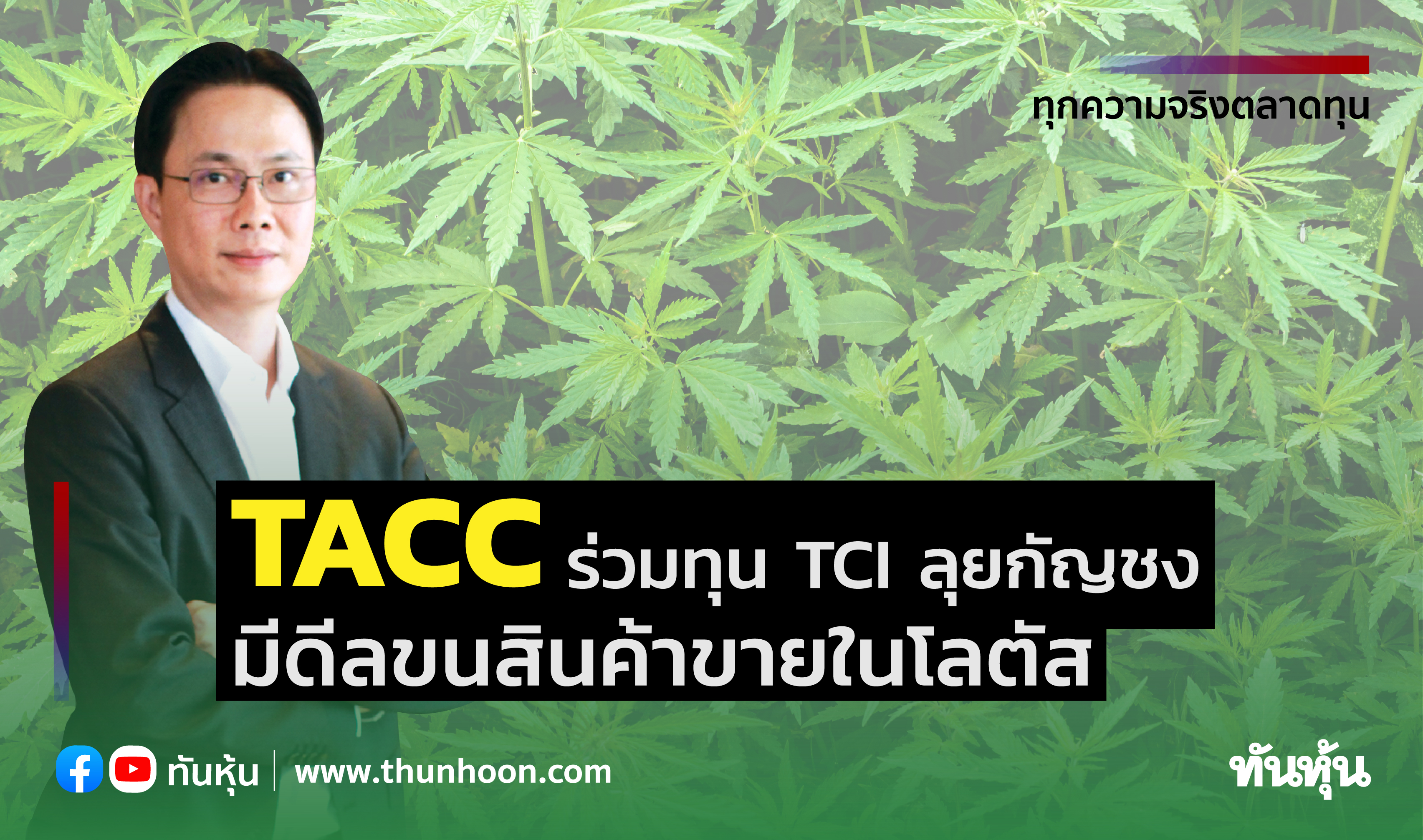 TACCร่วมทุนTCIลุยกัญชง มีดีลขนสินค้าขายในโลตัส