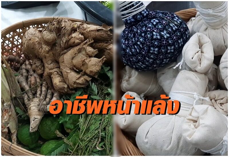 "อบต.หนองนางนวล" ส่งเสริมชาวบ้านปลูกสมุนไพรทำลูกประคบ สร้างรายได้เสริม ตั้งเป้าส่งออกต่างประเทศ