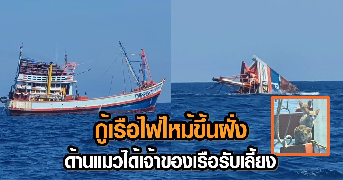 กู้เรือไฟไหม้กลางทะเลขึ้นฝั่งแล้ว ชี้น้ำมันรั่วไม่กระทบผืนน้ำ - เจ้าของเรือรับเลี้ยงแมวที่รอดชีวิต