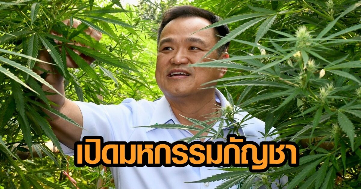 เสี่ยหนู เปิดสนามช้างเซอร์กิต จัด 'มหกรรมกัญชากัญชงฯ' พรุ่งนี้ สร้างโอกาสต่อยอดความรู้