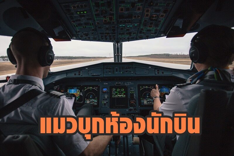 เครื่องบินโดยสารซูดาน เจอแมวบุกห้องนักบิน จนต้องนำเครื่องลงฉุกเฉิน