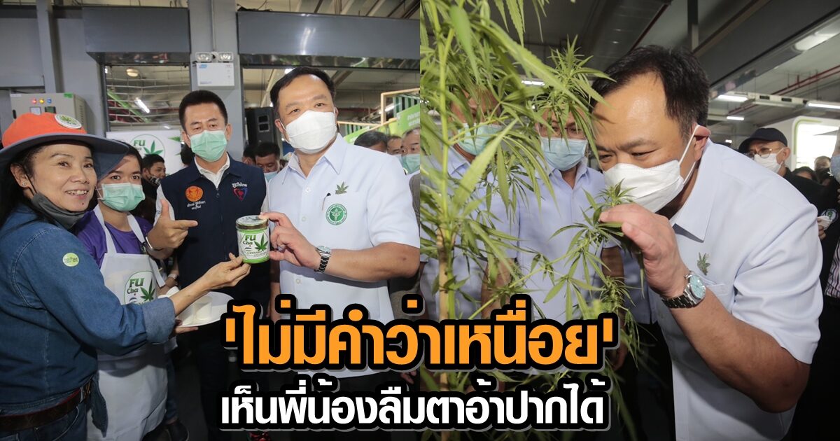 'อนุทิน' เยี่ยมบูธมหกรรม 'กัญชา' ชี้ไม่มีคำว่าเหนื่อย เห็นพี่น้องลืมตาอ้าปากได้