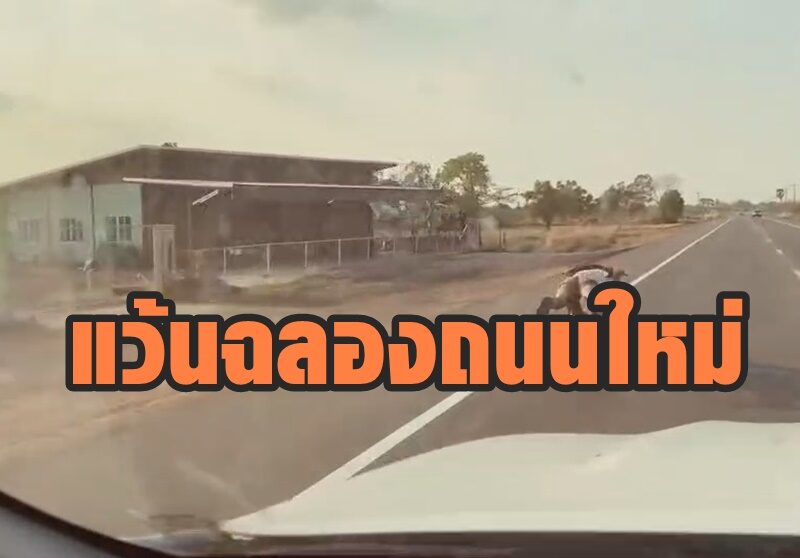 อย่าหาทำ! คลิปเด็กแว้น โชว์ซิ่งสเต็ปเทพ ฉลองถนนสร้างใหม่ อ.บัวใหญ่