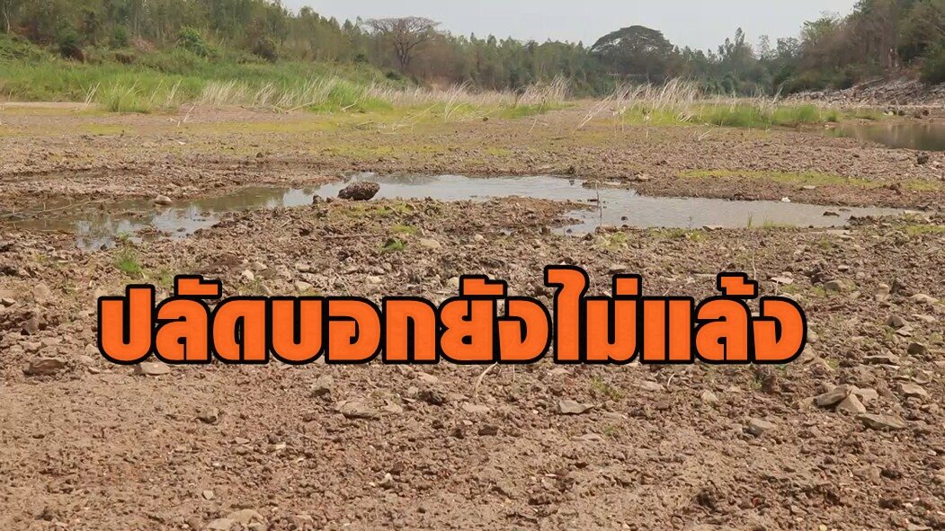 ชาวนาสามง่าม เดือด ฉะปลัดอำเภออ้างไม่แล้ง ถาม ตกบ่อบาดาลตายยังไม่เดือดร้อนอีกหรือ