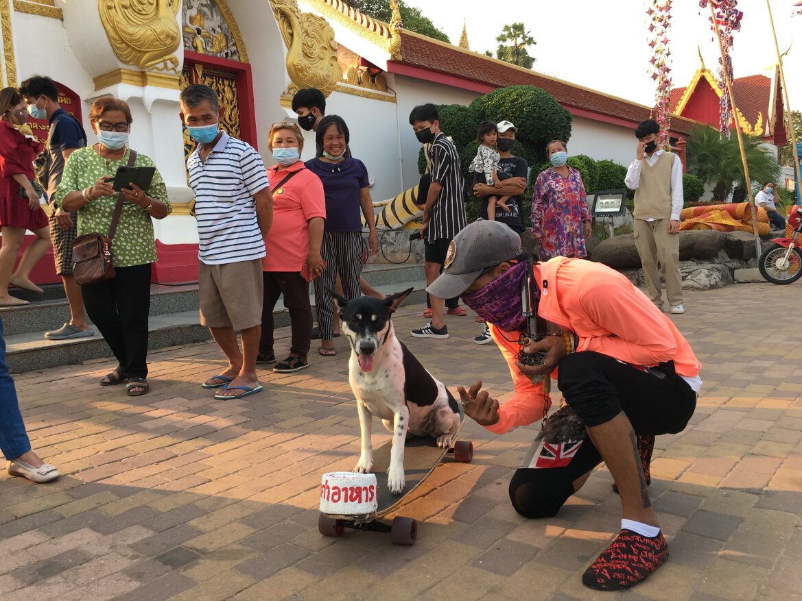 สุดทึ่งเจ้าโควิดสุนัขแสนรู้โชว์ลีลาเล่นสะเก็ดบอร์ด มีผาดโผน