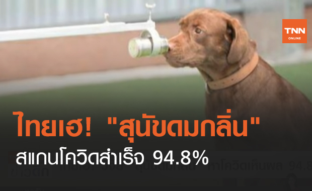 ไทยเฮ! "สุนัขดมกลิ่น" สแกนโควิดสำเร็จ 94.8% (คลิป)