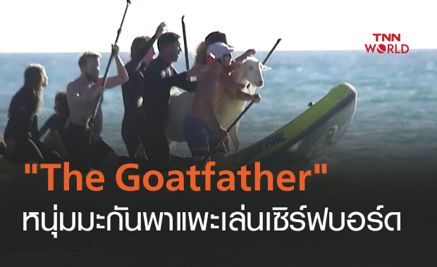 "The Goatfather" หนุ่มอเมริกัน พาแพะไปเล่นเซิร์ฟบอร์ด