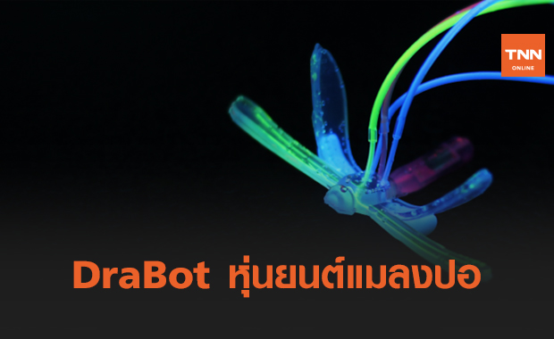 DraBot หุ่นยนต์แมลงปอ สำรวจธรรมชาติ