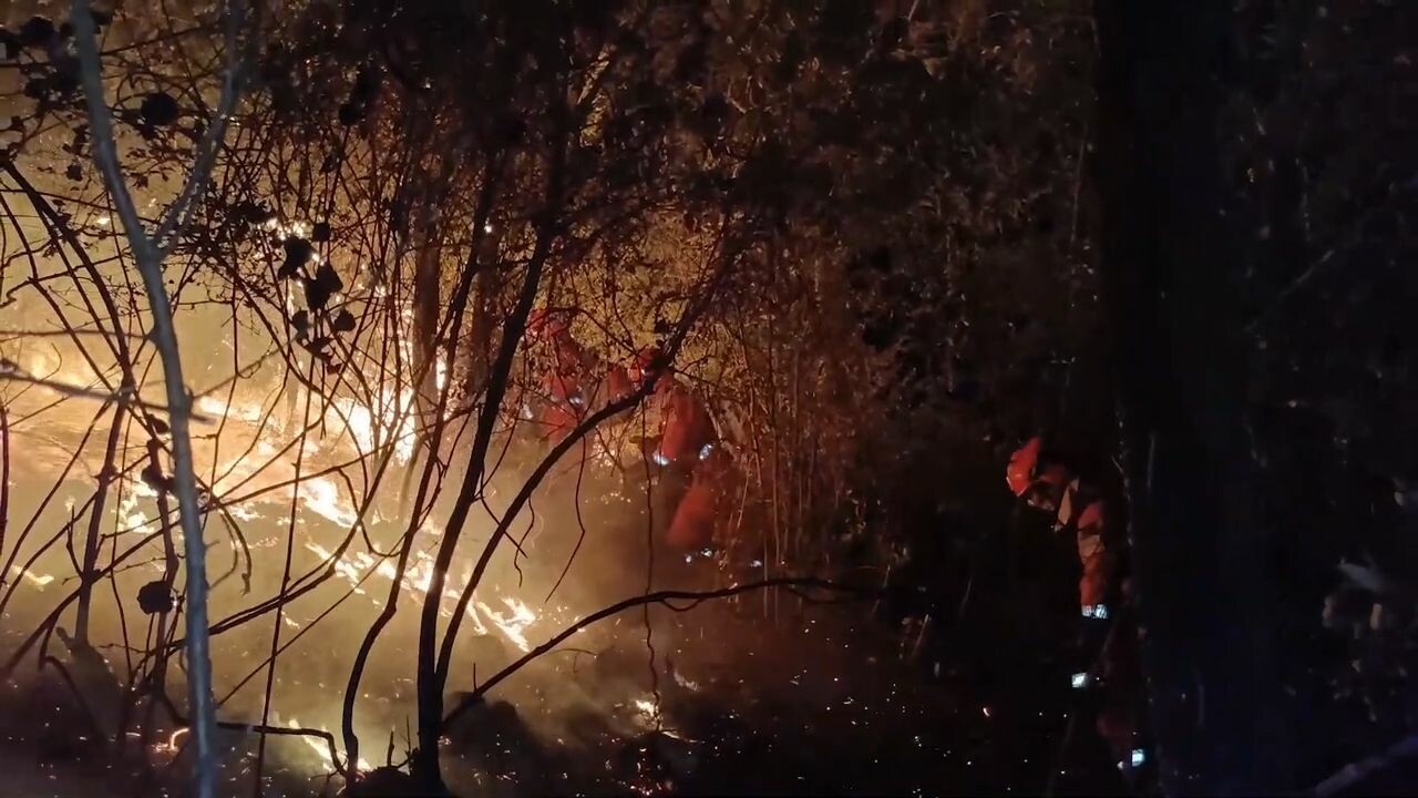 น่านับถือ! ทีมดับเพลิงจีน 'นอนกลางป่า' หวังสกัดไฟไหม้ทันเวลา