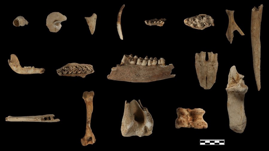เยือน 'แหล่งโบราณคดีจาวกั่วต้ง' หนึ่งในสุดยอดการค้นพบทางโบราณคดีจีน