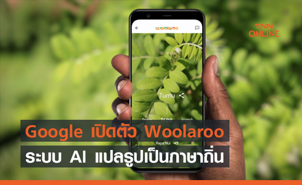 Google เปิดตัว Woolaroo ระบบ AI แปลรูปเป็นภาษาถิ่น