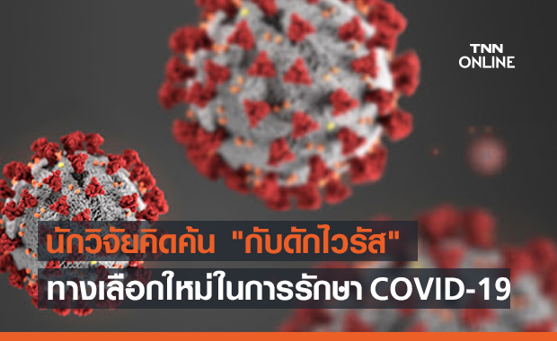 นักวิจัยคิดค้น "กับดักไวรัส" ทางเลือกใหม่ในการรักษา COVID-19