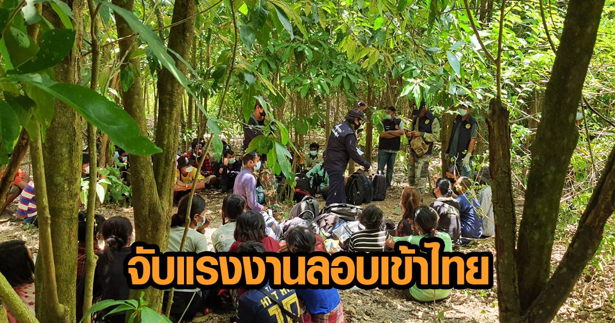 รวบ 50 แรงงานเมียนมา เดินป่า 2 วัน 2 คืน หวังลอบเข้าทำงานในไทย